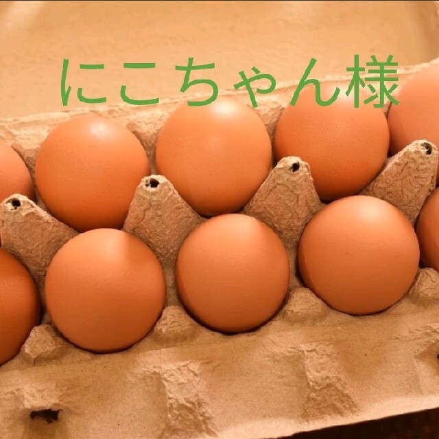 にこちゃん様専用　平飼い卵50個 食品/飲料/酒の食品(野菜)の商品写真