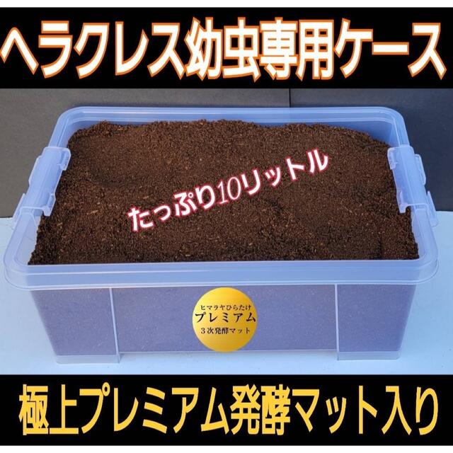 カブト幼虫を入れるだけ!便利!ケース付き☆プレミアム3次発酵マット10リットルの通販 by iketeru's shop|ラクマ カブト幼虫を入れるだけ!便利!ケース付き☆プレミアム3次発酵マット10リットルの通販 by iketeru's shop|ラクマ