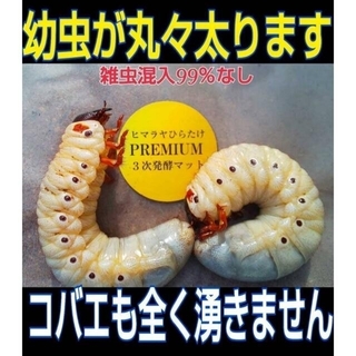 【3セット】10リットルケース入☆プレミアム発酵カブトムシマット☆幼虫入れるだけ