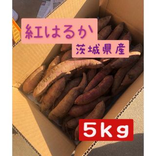 さつまいも　紅はるか　5kg   茨城県産(野菜)