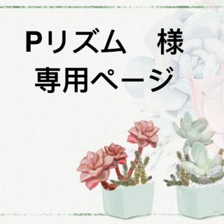 Pリズム　様　専用ページ(その他)