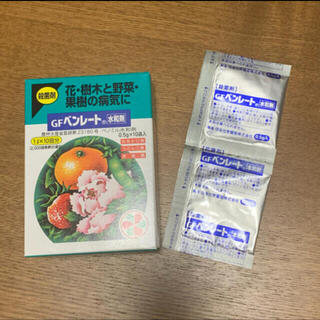 住友化学園芸 殺菌剤 GFベンレート水和剤 0.5g×2(その他)