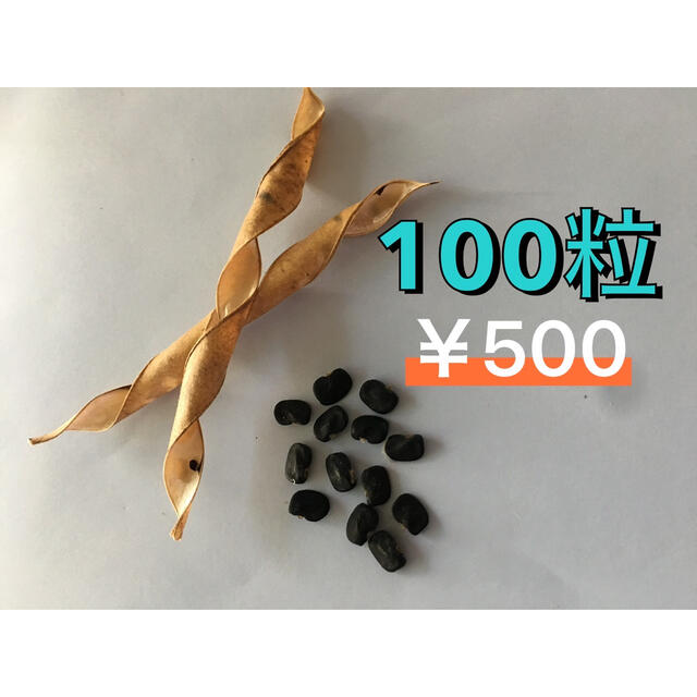 バタフライピー種100粒+乾燥花10花の通販 by よっしー's shop｜ラクマ