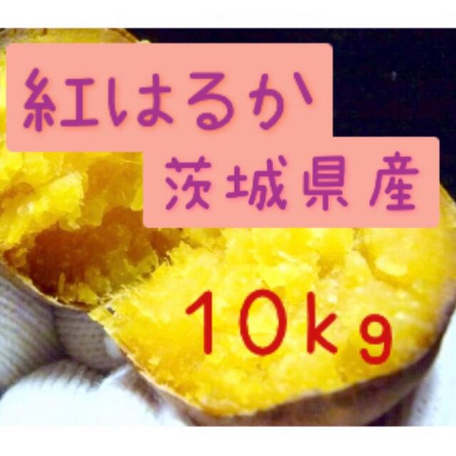 さつまいも　紅はるか　10kg   茨城県産 食品/飲料/酒の食品(米/穀物)の商品写真