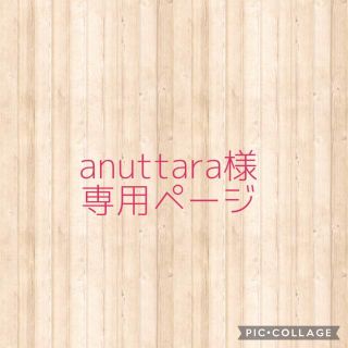 anuttara様専用　ギフトシール(その他)