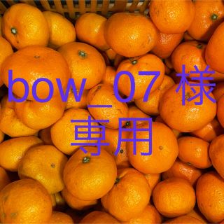 青島みかん　訳あり　10キロ　(フルーツ)