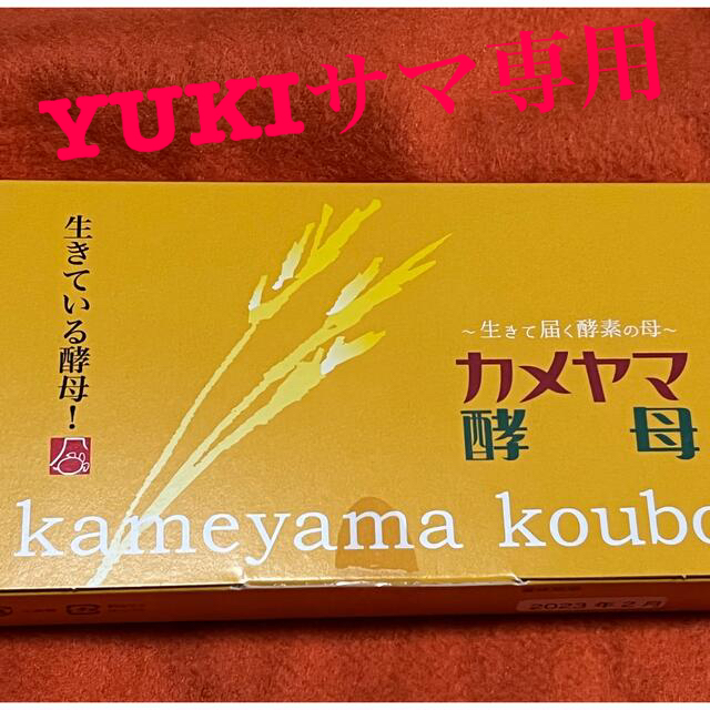 亀山堂　カメヤマ酵母30包入✖️２箱おまとめ