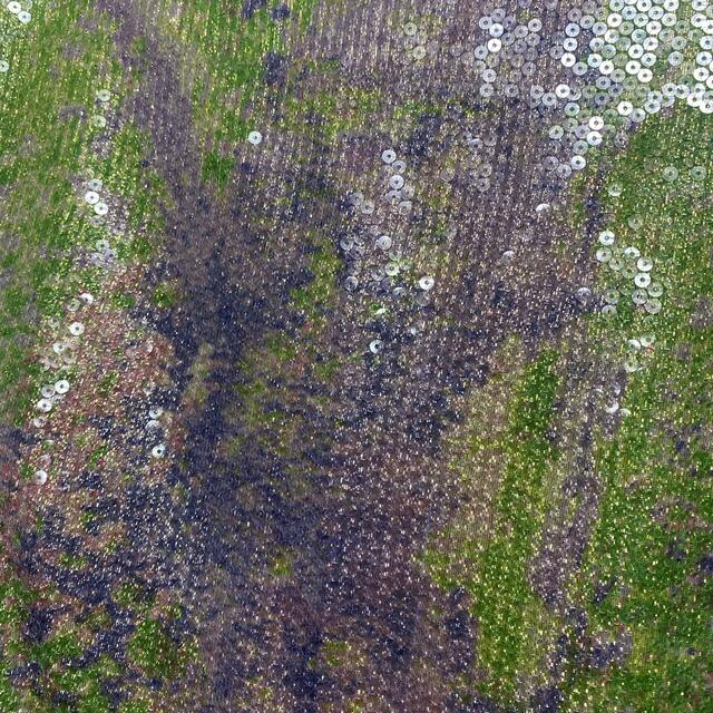 LE CIEL BLEU(ルシェルブルー)のルシェルブルー　スパンコールスカート レディースのスカート(ミニスカート)の商品写真