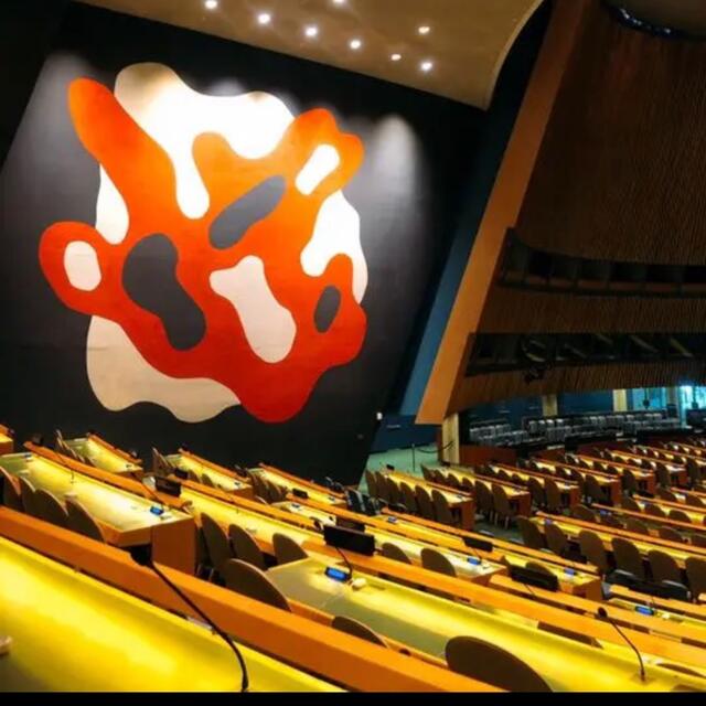 SDGs ピンバッジ　一点　国連本部正規品　特別提供品 エンタメ/ホビーのアニメグッズ(バッジ/ピンバッジ)の商品写真