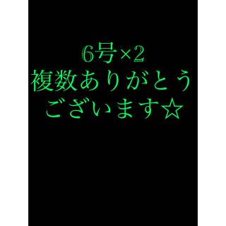 さびき 仕掛け針 2枚◉6号×2 他より太く丈夫な糸 最安値(釣り糸/ライン)