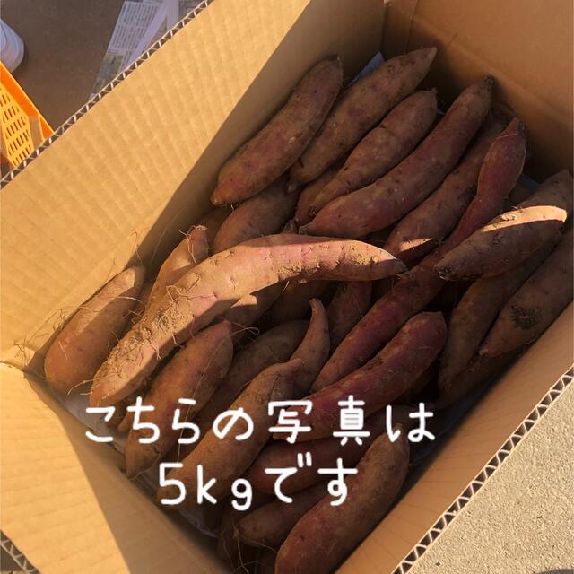 さつまいも　紅はるか　10kg    茨城県産 食品/飲料/酒の食品(野菜)の商品写真