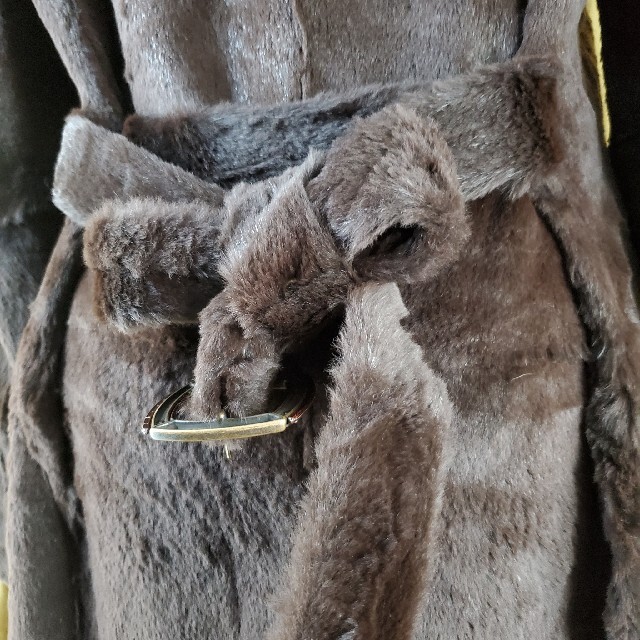 イタリア製 高級毛皮ミンク 2種類 超ロングコート 42 約11号 軽い Seikidairiten 毛皮 ファーコート Reidphysiotherapy Ca