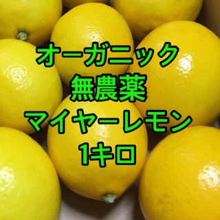 オーガニック　無農薬マイヤーレモン　1キロ(フルーツ)