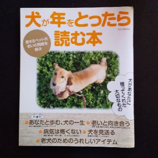 犬が年をとったら読む本 愛するペットの老いの問題を解決！(住まい/暮らし/子育て)