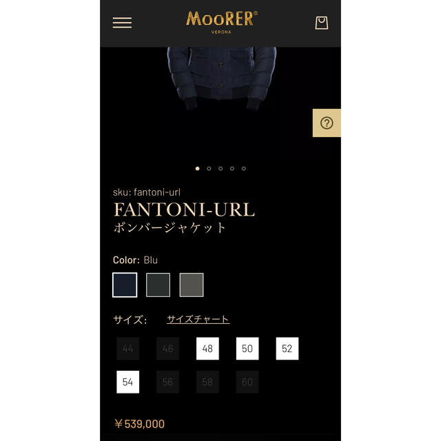 人気の新作 (chmlさん専用)【新品】MOORER ムーレー FANTONI 46 48