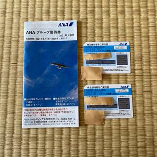 エーエヌエー(ゼンニッポンクウユ)(ANA(全日本空輸))の専用　ANA 株主優待券　2022年5月31日まで(その他)