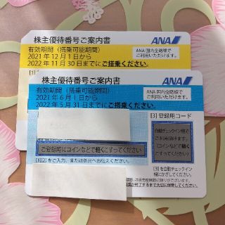 エーエヌエー(ゼンニッポンクウユ)(ANA(全日本空輸))のANA   株主優待券　2枚セット(その他)