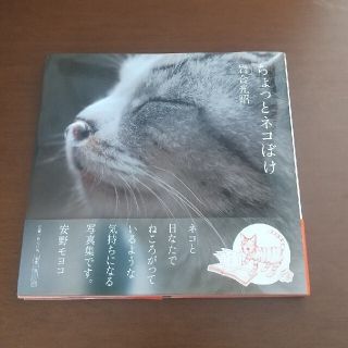 ショウガクカン(小学館)のちょっとネコぼけ(趣味/スポーツ/実用)