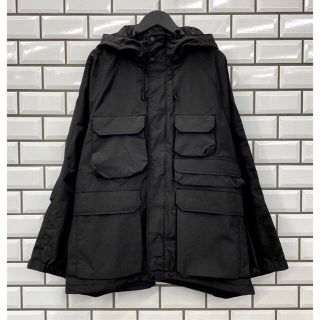 ダイワ(DAIWA)のLサイズ DAIWA PIER39 GORETEX Mountain Parka(マウンテンパーカー)