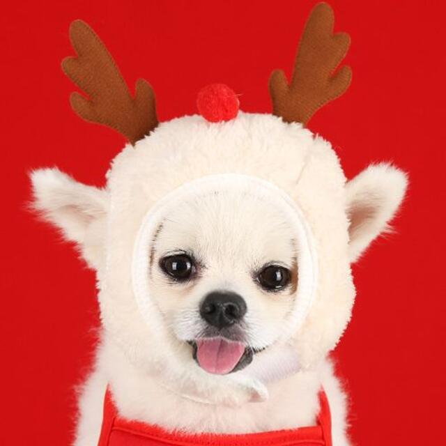 クリスマス ペット帽子 トナカイ サンタ ふわふわ コスプレ 犬 猫 かぶりもの その他のペット用品(犬)の商品写真