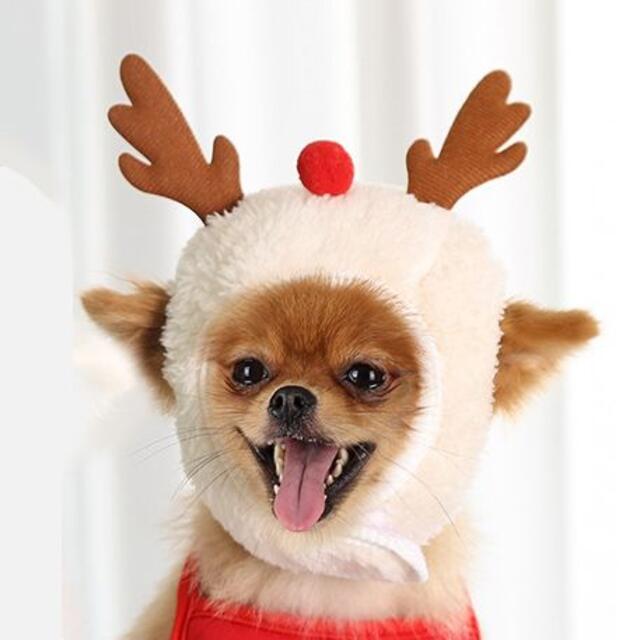 クリスマス ペット帽子 トナカイ サンタ ふわふわ コスプレ 犬 猫 かぶりもの その他のペット用品(犬)の商品写真