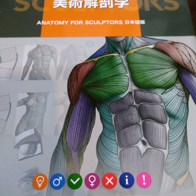 アート/エンタメ　スカルプターのための美術解剖学　ＳＣＵＬＰＴＯＲＳ日本語　ＡＮＡＴＯＭＹ　ＦＯＲ