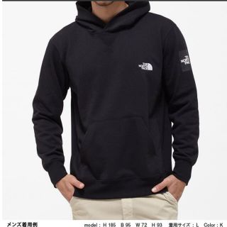 ザノースフェイス(THE NORTH FACE)のTHE NORTH FACE NT11953 スウェットパーカーフーディ(パーカー)