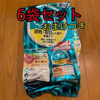 ネスレ(Nestle)のピュリナワン 避妊・去勢用 ターキー(ペットフード)