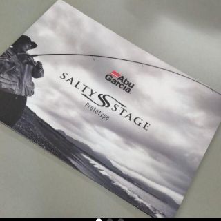 ダイワ(DAIWA)のアブガルシアSALTYSTAGE2021年カタログ(その他)