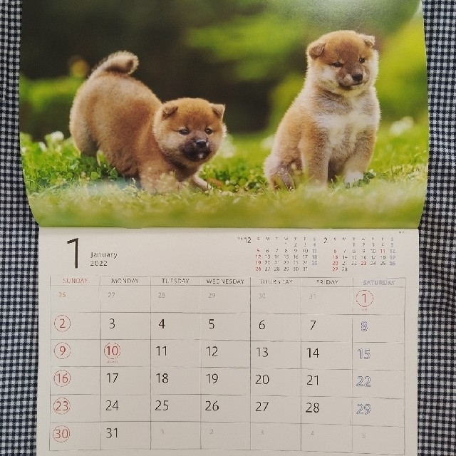 カレンダー　２０２２年　「ゆかいな子犬たち」　壁掛けタイプ インテリア/住まい/日用品の文房具(カレンダー/スケジュール)の商品写真
