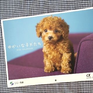 カレンダー　２０２２年　「ゆかいな子犬たち」　壁掛けタイプ(カレンダー/スケジュール)