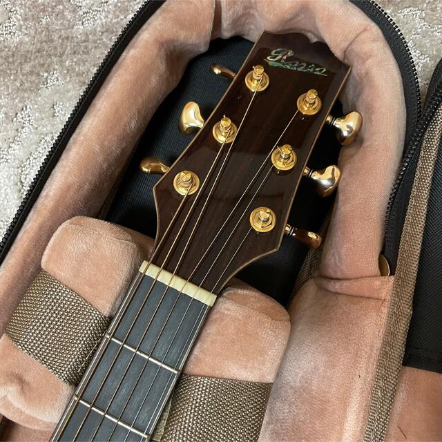 Rosso SJ-841C エレアコ ケース付き 美品 - アコースティックギター