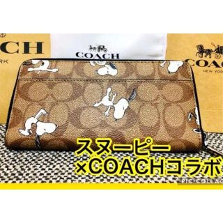 コーチ(COACH)の【☆新品未使用☆】COACH スヌーピー コラボ 長財布(財布)