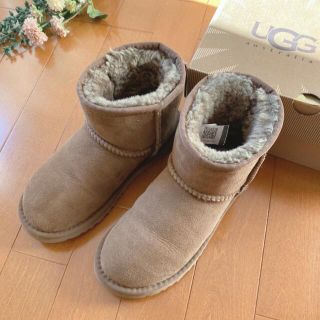 アグ(UGG)の★ UGG ★ アグ クラシックミニ / US5 / DRY LEAF  茶(ブーツ)