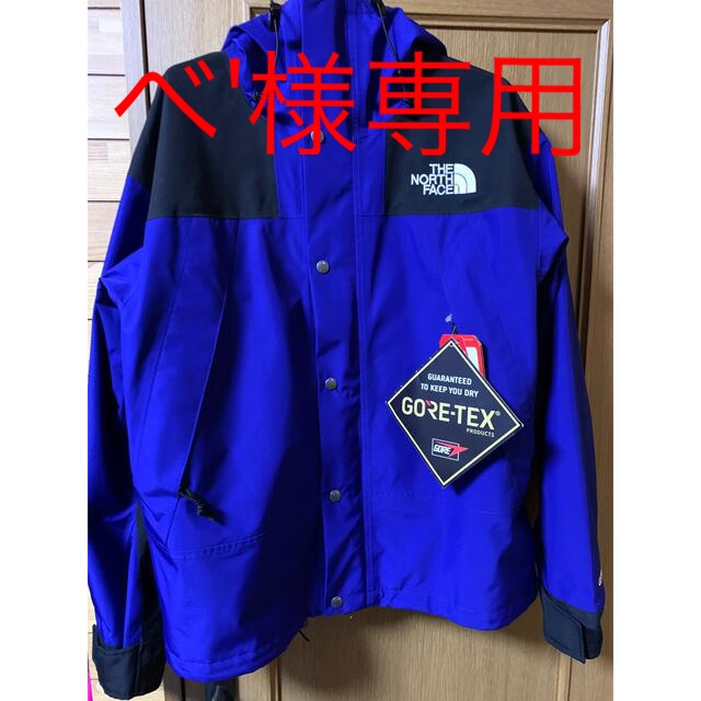 海外モデル　THE NORTH FACE MOUNTAIN JACKET