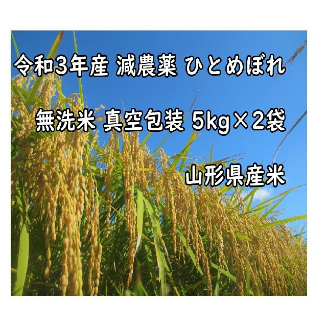 令和3年産 減農薬 ひとめぼれ 5kg × 2袋 計10kg 山形産 無洗米