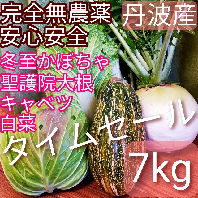 無農薬野菜詰め合わせ　安心安全　美味しい　丹波産　味が濃い　野菜　完全無農薬　新鮮