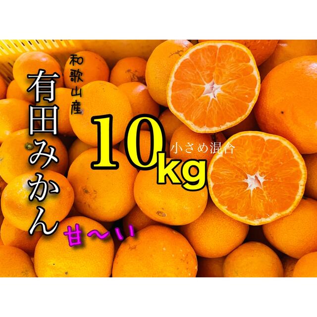 中生晩生　和歌山有田みかん大小ランダム混合10キロ 食品/飲料/酒の食品(フルーツ)の商品写真