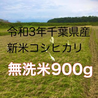 令和3年新米コシヒカリ無洗米900g(米/穀物)