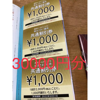 プリンス(Prince)の西武ホールディング　株主優待共通割引券　30000円(その他)