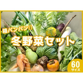 野菜詰め合わせセット　12/28採りたて野菜を60サイズ(野菜)