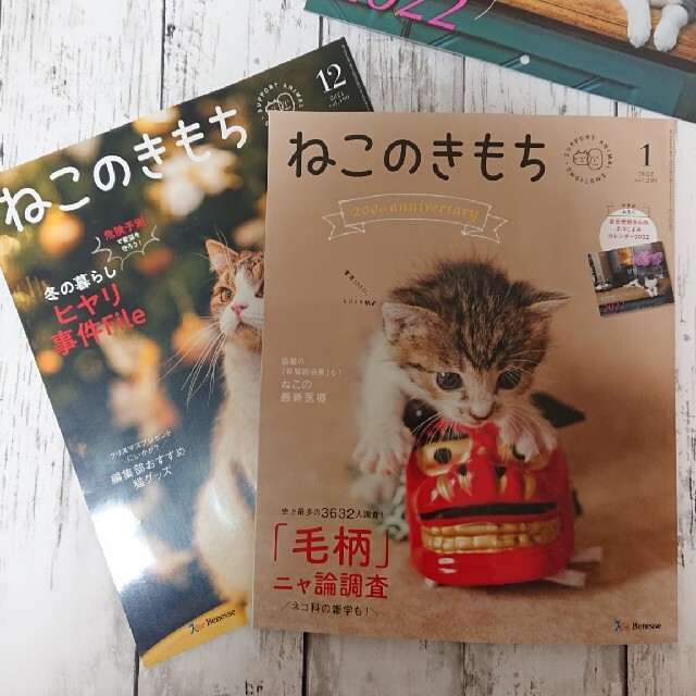 ねこのきもち 12月1月号 エンタメ/ホビーの雑誌(専門誌)の商品写真