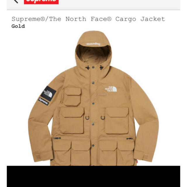 ジャケット/アウターsupreme northface cargo 【Mサイズ】