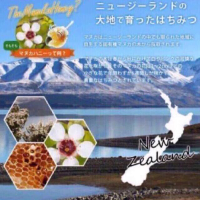 マヌカハニー UMF15+ 250g 3個セット　賞味期限2026.6月