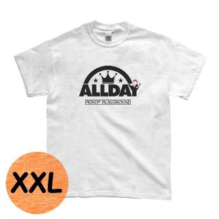 ナイキ(NIKE)のkozy様専用【PICK UP PLAYGROUND】 ALLDAY XXL(バスケットボール)