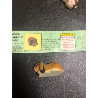 フルタセイカ(フルタ製菓)のチョコエッグ　ロップイヤー　ブラウン(その他)