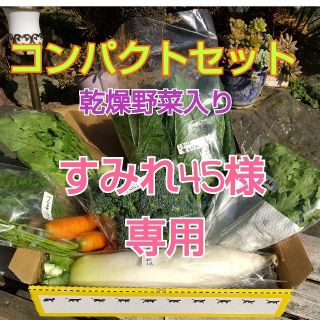 新鮮野菜 コンパクトBOXセット 乾燥野菜30g入り(野菜)