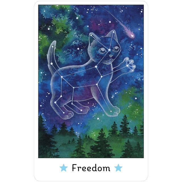 ✨猫ちゃん好き必見✨妖精猫の愛くるしいファンタジックな