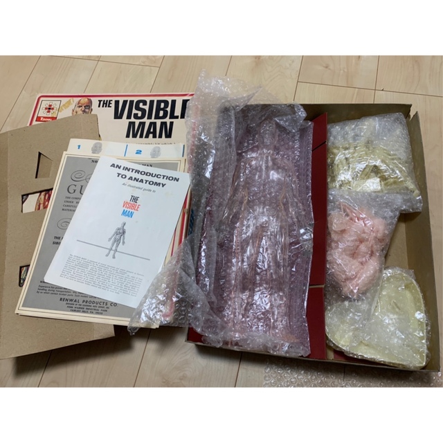 専用Renwal visibleman 人体模型KurtCobain エンタメ/ホビーのフィギュア(その他)の商品写真