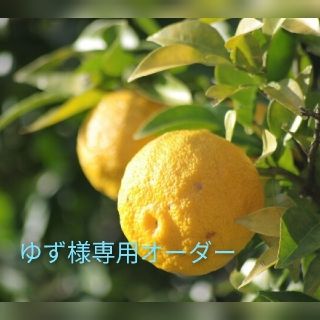 【専用】ATAO ブーブー 保管ケース(財布)